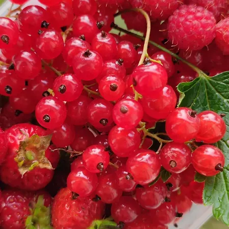 Haaveranta - Private By The * Rovaniemi